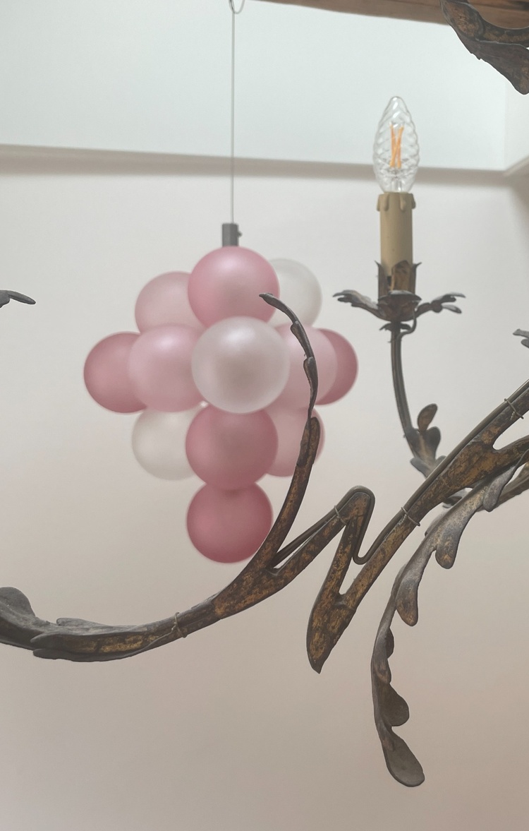 Slide image Grapes Recast