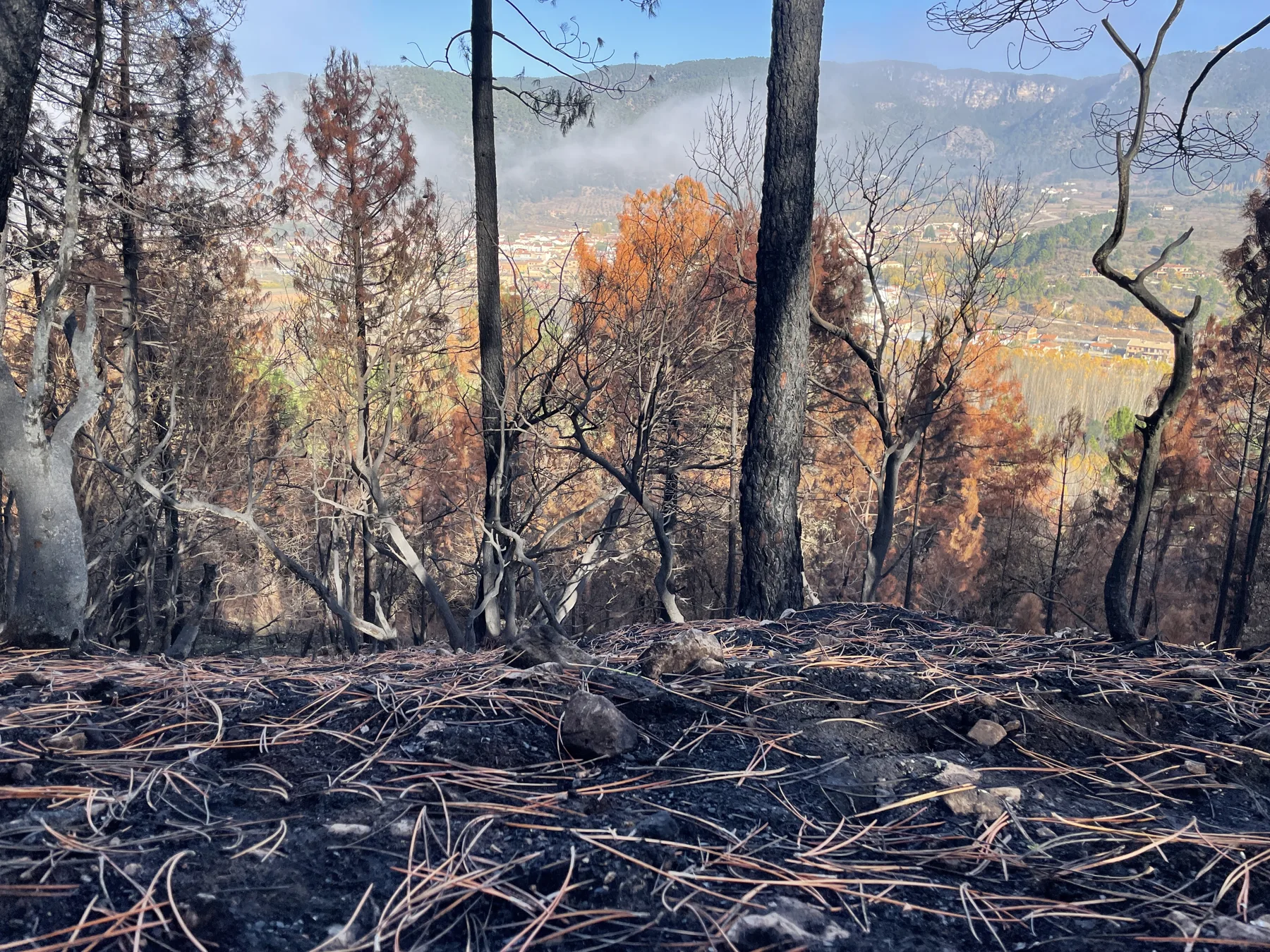 Where casting, fire, and landscape still feel inseparable